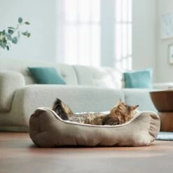 Frisco Rectangular Bolster Cat & Dog Bed 11 Frisco Rectangular Bolster Cat & Dog Bed -Frisco 113275 PT2. AC SS1800 V1657655271