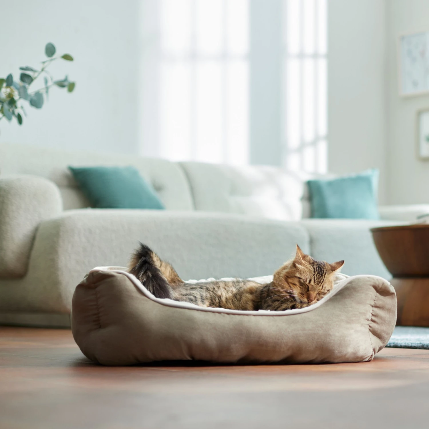 Frisco Rectangular Bolster Cat & Dog Bed 5 Frisco Rectangular Bolster Cat & Dog Bed - Image 3