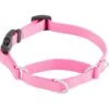 Frisco Solid Nylon Martingale Dog Collar With Buckle -Frisco 139177 Main. AC SS1800 V1582829287