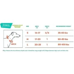 Frisco Solid Nylon Martingale Dog Collar With Buckle -Frisco 139177 PT1. AC SS1800 V1620068850