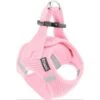 Frisco Small Breed Soft Vest Step In Back Clip Dog Harness 2 Frisco Small Breed Soft Vest Step In Back Clip Dog Harness -Frisco 139821 MAIN. AC SS1800 V1699631626