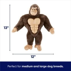 Frisco Gorilla Muscle Plush Squeaky Dog Toy 9 Frisco Gorilla Muscle Plush Squeaky Dog Toy -Frisco 147084 PT1. AC SS1800 V1691776574