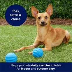 Frisco Foam Rubber Floating Fetch Ball No Squeak Dog Toy -Frisco 152798 PT4. AC SS1800 V1686579140