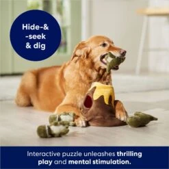 Frisco Volcano Hide & Seek Puzzle Plush Squeaky Dog Toy -Frisco 152810 PT3. AC SS1800 V1686079871