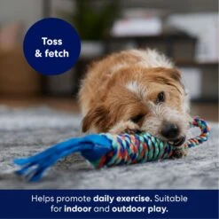 Frisco Rope With Handle & Tassels Dog Toy 8 Frisco Rope With Handle & Tassels Dog Toy -Frisco 152840 PT3. AC SS1800 V1695241916