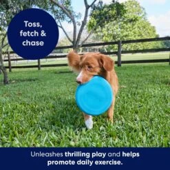 Frisco Fetch Rubber Flyer Dog Toy -Frisco 152848 PT5. AC SS1800 V1692370079