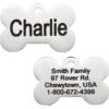 Frisco Personalized Dog ID Tag, Bone -Frisco 152994 MAIN. AC SS1800 V1619702559