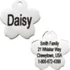 Frisco Stainless Steel Personalized Dog & Cat ID Tag, Flower -Frisco 153002 MAIN. AC SS1800 V1540562246