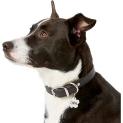 Frisco Stainless Steel Personalized Dog & Cat ID Tag, Flower 14 Frisco Stainless Steel Personalized Dog & Cat ID Tag, Flower -Frisco 153002 PT5. AC SS1800 V1540562264