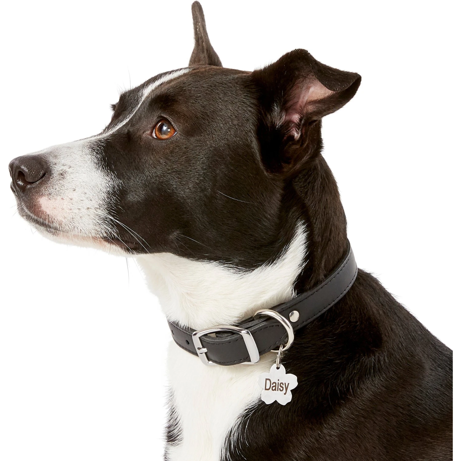 Frisco Stainless Steel Personalized Dog & Cat ID Tag, Flower 8 Frisco Stainless Steel Personalized Dog & Cat ID Tag, Flower - Image 6