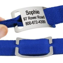 Frisco Stainless Steel Slide-On Personalized Dog & Cat Tag, Open Design 9 Frisco Stainless Steel Slide-On Personalized Dog & Cat Tag, Open Design -Frisco 153050 PT2. AC SS1800 V1644022614