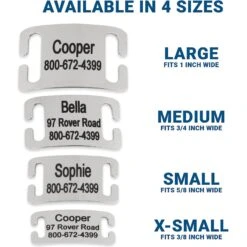 Frisco Stainless Steel Slide-On Personalized Dog & Cat Tag, Open Design 10 Frisco Stainless Steel Slide-On Personalized Dog & Cat Tag, Open Design -Frisco 153050 PT3. AC SS1800 V1644013293