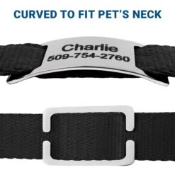 Frisco Stainless Steel Slide-On Personalized Dog & Cat Tag, Open Design 11 Frisco Stainless Steel Slide-On Personalized Dog & Cat Tag, Open Design -Frisco 153050 PT4. AC SS1800 V1644016599