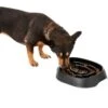 Frisco Non-Skid Slow Feeder Dog & Small Pet Bowl -Frisco 155648 MAIN. AC SS1800 V1578432852