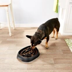 Frisco Non-Skid Slow Feeder Dog & Small Pet Bowl -Frisco 155648 PT4. AC SS1800 V1553538724