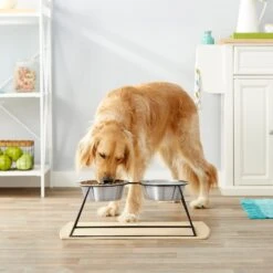 Frisco Pyramid Elevated Stainless Steel Double Diner Dog & Cat Bowl -Frisco 159884 PT3. AC SS1800 V1561123346