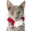 Frisco Jingle Bells Dog & Cat Holiday Collar With Bells, 1 Count -Frisco 160063 MAIN. AC SS1800 V1663948848