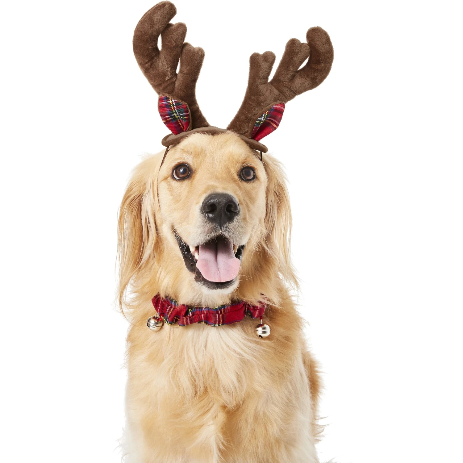 Frisco Holiday Antler Headband & Bell Collar Dog & Cat Costume 3 Frisco Holiday Antler Headband & Bell Collar Dog & Cat Costume