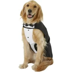 Frisco Formal Dog & Cat Tuxedo, Black