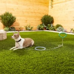 Frisco Tie Out Cable, Small -Frisco 166380 PT2. AC SS1800 V1576680483