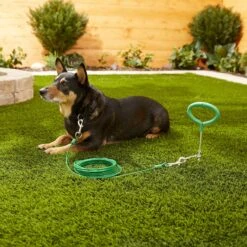 Frisco Tie Out Cable, Large -Frisco 166431 PT2. AC SS1800 V1576680475