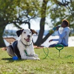 Frisco Easy Grip Stake With Tie Out Cable, Large -Frisco 166447 PT5. AC SS1800 V1701796826