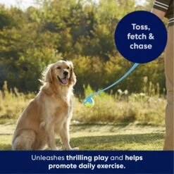 Frisco Ball Launcher & Fetch Squeaky Tennis Ball Dog Toy 10 Frisco Ball Launcher & Fetch Squeaky Tennis Ball Dog Toy -Frisco 178477 PT3. AC SS1800 V1695241970