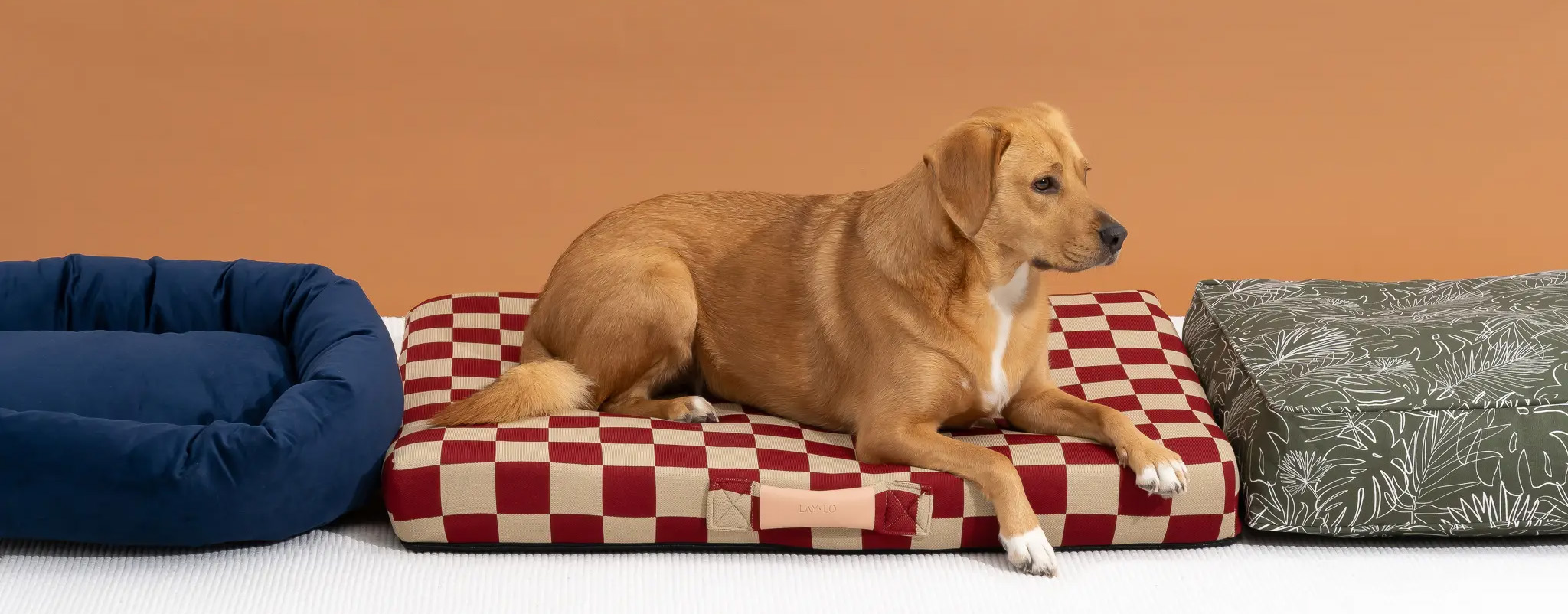 Front Page -Frisco 2