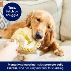 Frisco Gold Medal Round Plush Squeaky Dog Toy 9 Frisco Gold Medal Round Plush Squeaky Dog Toy -Frisco 214082 PT6. AC SS1800 V1679069984