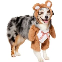 Frisco Front Walking Teddy Bear Dog & Cat Costume 13 Frisco Front Walking Teddy Bear Dog & Cat Costume -Frisco 215507 PT3. AC SS1800 V1624402415
