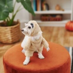 Frisco Front Walking Sloth Dog & Cat Costume -Frisco 215539 PT8. AC SS1800 V1599141353