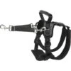 Frisco Rear Lift Handicapped Support Dog Harness 1 Frisco Rear Lift Handicapped Support Dog Harness -Frisco 220374 MAIN. AC SS1800 V1596501657