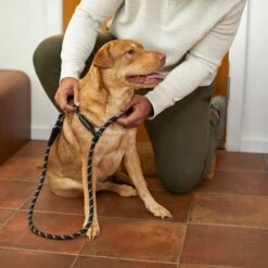 Frisco Reflective Rope Slip Lead Dog Leash -Frisco 221212 PT4. AC SS1800 V1699388234