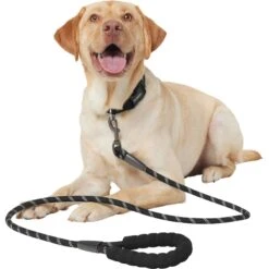 Frisco Rope Dog Leash With Padded Handle -Frisco 221218 PT3. AC SS1800 V1701796765
