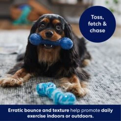 Frisco Retro Denim & Swirl TPR Bone Squeaky Dog Toy -Frisco 230341 PT4. AC SS1800 V1695748896