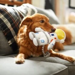 Frisco Ballistic Nylon Plush With Rope Squeaky Astronaut Dog Toy -Frisco 233585 PT3. AC SS1800 V1600973761