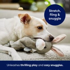 Frisco Bunny Bungee Plush Squeaky Dog Toy -Frisco 233612 PT5. AC SS1800 V1691783971