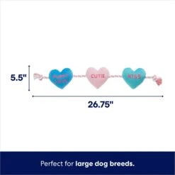 Frisco Valentine Candy Hearts Plush With Rope Squeaky Dog Toy -Frisco 241725 PT1. AC SS1800 V1701365128