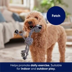 Frisco Zebra Rope Squeaky Dog Toy 10 Frisco Zebra Rope Squeaky Dog Toy -Frisco 242163 PT3. AC SS1800 V1691785245