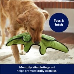 Frisco Alligator Stuffing-Free Flat Plush Squeaky Dog Toy -Frisco 245943 PT2. AC SS1800 V1678723898