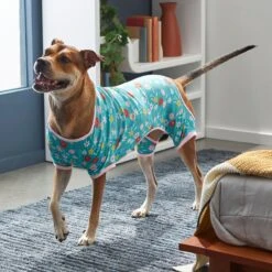 Frisco Teal Floral Dog & Cat Jersey PJs -Frisco 249132 PT7. AC SS1800 V1614376401