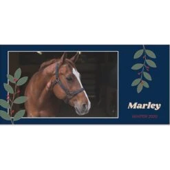 Frisco Berry Garland Personalized Coffee Mug, 11-oz -Frisco 249333 PT2. AC SS1800 V1602863774