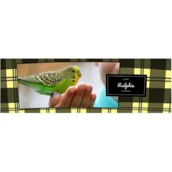 Frisco Double Walled Red Plaid Personalized Tumbler, 30-oz Cup -Frisco 249346 PT2. AC SS1800 V1602029161