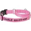 Frisco Solid Nylon Personalized Martingale Dog Collar -Frisco 249561 MAIN. AC SS1800 V1699636209