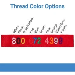 Frisco Solid Nylon Personalized Martingale Dog Collar -Frisco 249561 PT3. AC SS1800 V1603471285