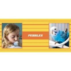 Frisco Double Walled Preppy Stripes Personalized Tumbler, 30-oz Cup -Frisco 250751 PT2. AC SS1800 V1606678620