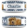 Frisco Boho Damask Ceramic Personalized Dog Bowl -Frisco 250835 MAIN. AC SS1800 V1602632496