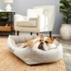 Frisco Rectangular Personalized Bolster Dog Bed W/Removable Cover, Beige, X-Large 1 Frisco Rectangular Personalized Bolster Dog Bed W/Removable Cover, Beige, X-Large -Frisco 252615 MAIN. AC SS1800 V1604499115