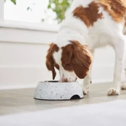 Frisco Quartz Design Stainless Steel Dog & Cat Bowl -Frisco 253044 PT2. AC SS1800 V1616526418