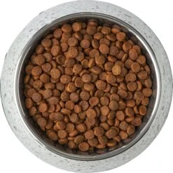 Frisco Quartz Design Stainless Steel Dog & Cat Bowl -Frisco 253044 PT5. AC SS1800 V1616526766